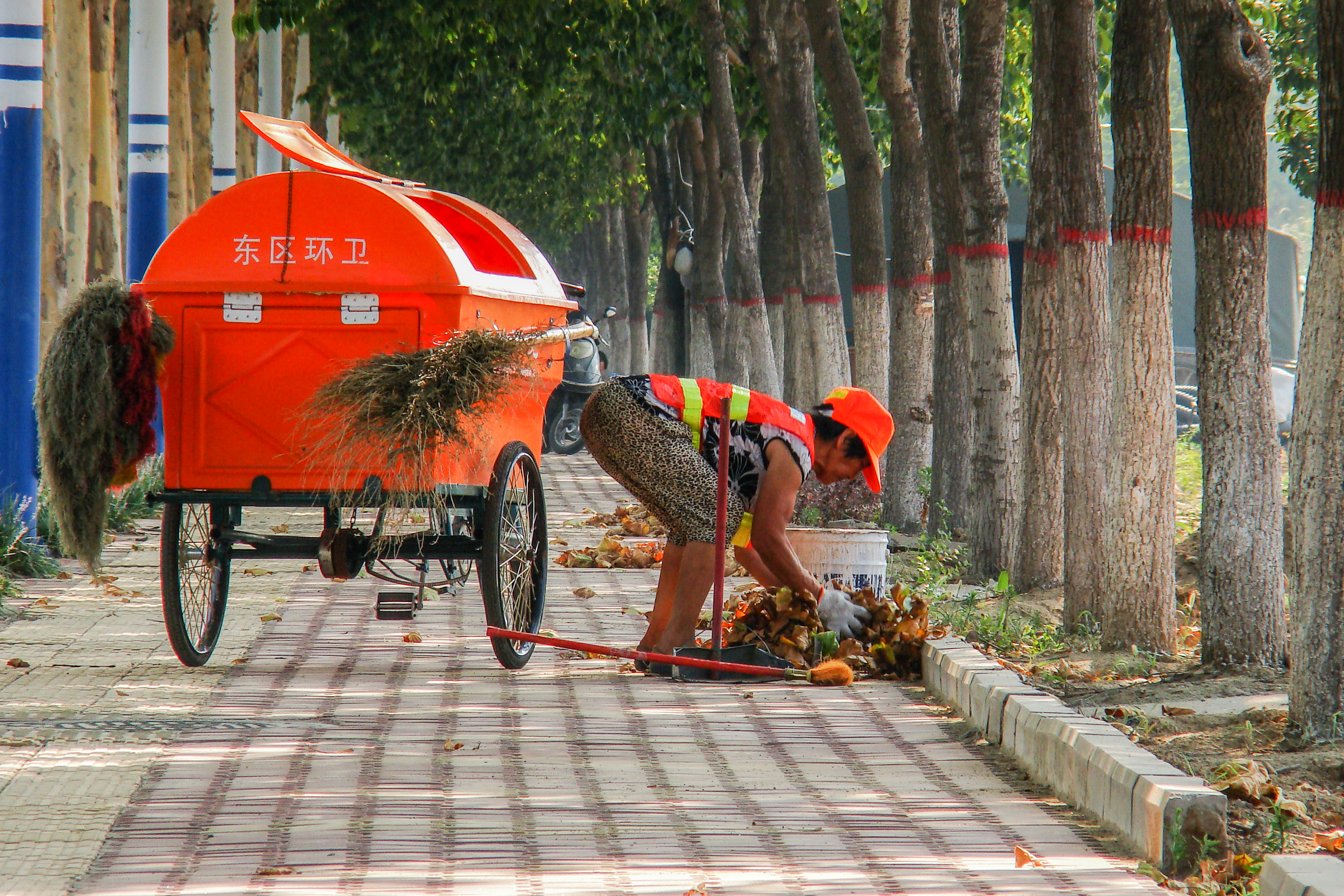 辛勤工作的城市美容师