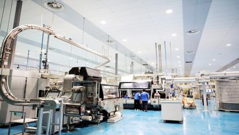 全力冲刺“十五五”开局首季开门红