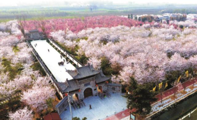 阳春三月美如画 醉美许都花似海