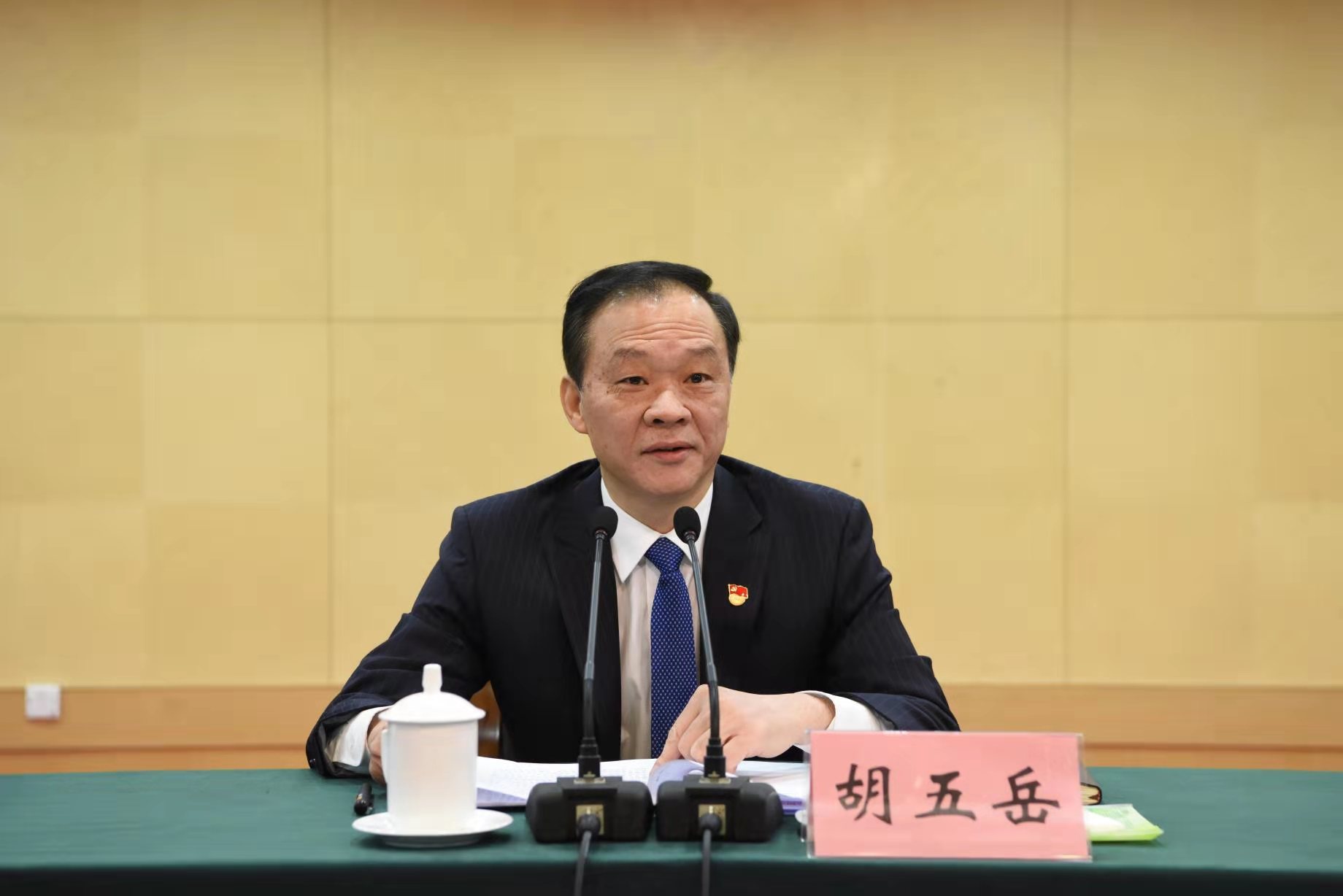 市委书记胡五岳,省委第七巡回指导组组长郑伯阳出席会议并讲话,市长